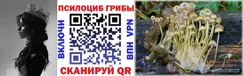 Псилоцибиновые грибы Psilocybe  мориарти какой сайт  Крым  где найти наркотики 